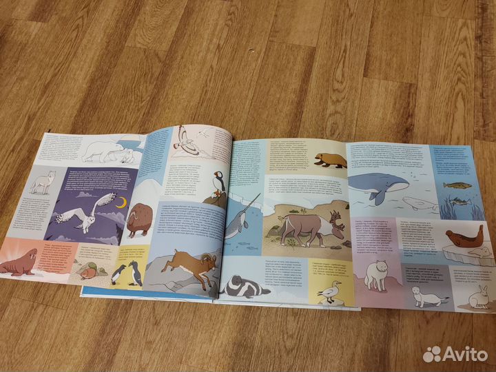 Редкие детские книги