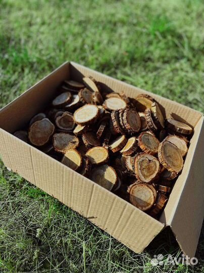 Стволы и спилы можжевельника