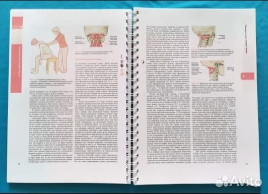 Анатомические поезда