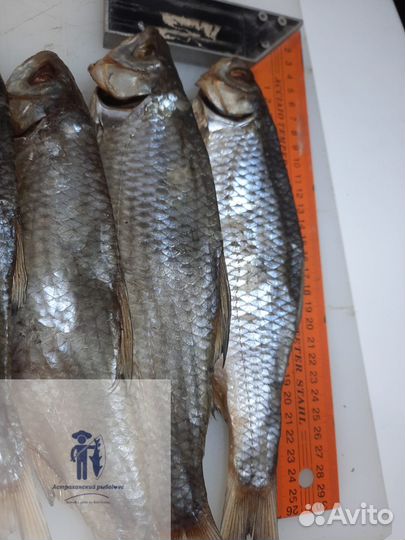 Икра воблы вяленая/Вобла вяленая из Астрахани