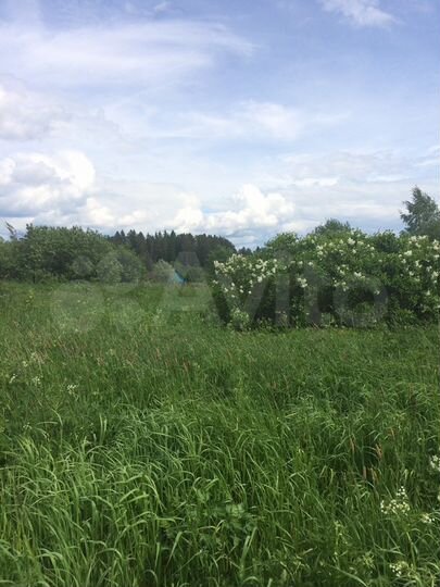 Участок 8 сот. (ИЖС)