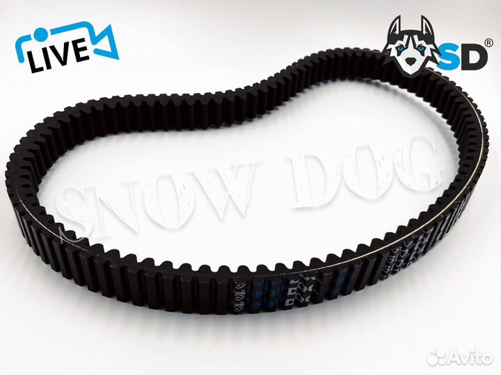 Ремень вариатора SD (SnowDog) 3211161 на Polaris