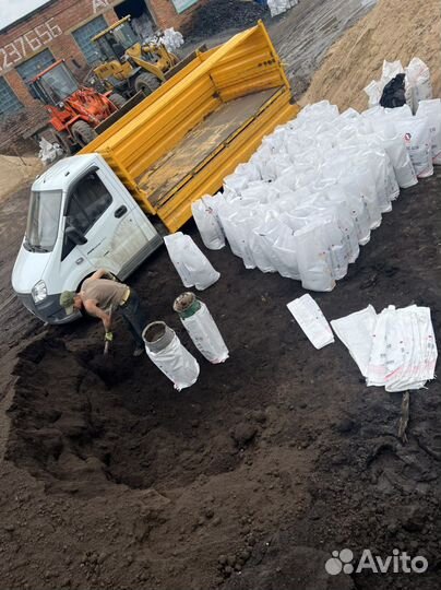 Перегной чернозем торф