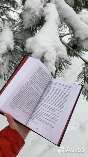 Книга Рене Ахдие «Красавица»