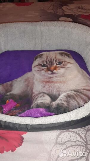 Лежанка для кошек