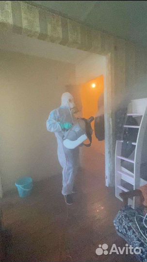 Обработка от тараканов и клопов,борьба с плесенью