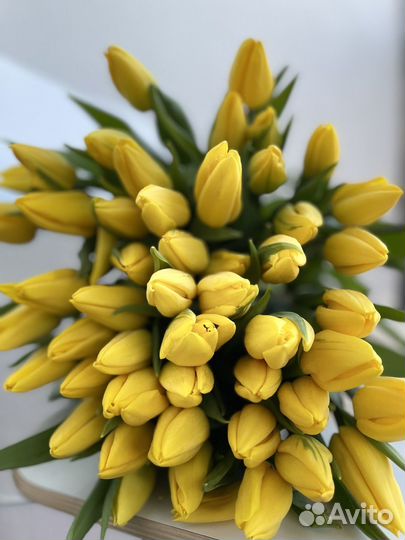 Тюльпаны букеты, поштучно