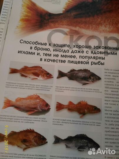 Товароведение