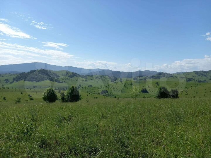 Участок 7 га (СНТ, ДНП)