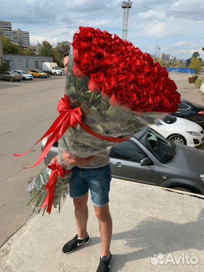 Длинные Розы Эквадор