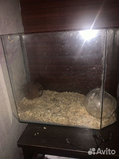 Аквариум