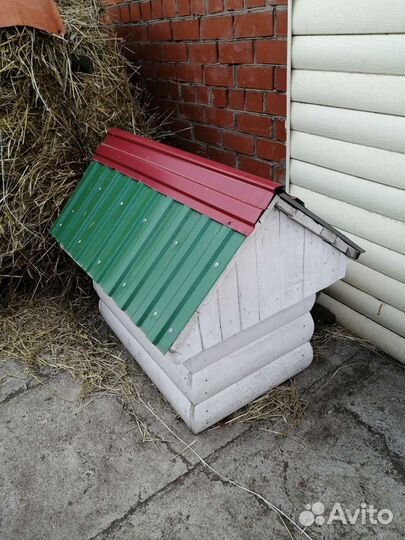 Собачья будка