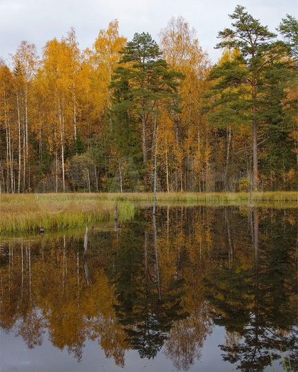 Участок 7 сот. (ИЖС)