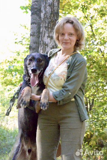 Дунай, лучший из лучших