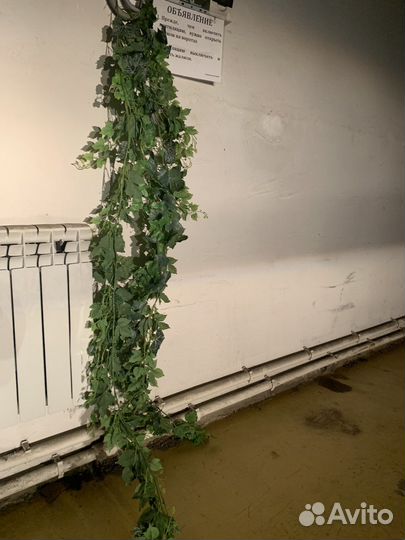 Декоративные растения искусственные