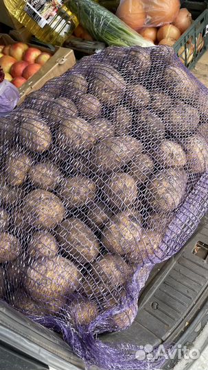 Картофель белый на хранение