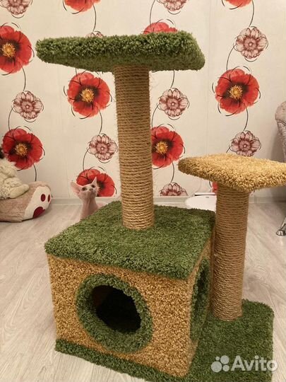 Когтеточка