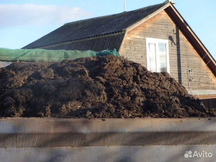 Коровий навоз с доставкой на дачу