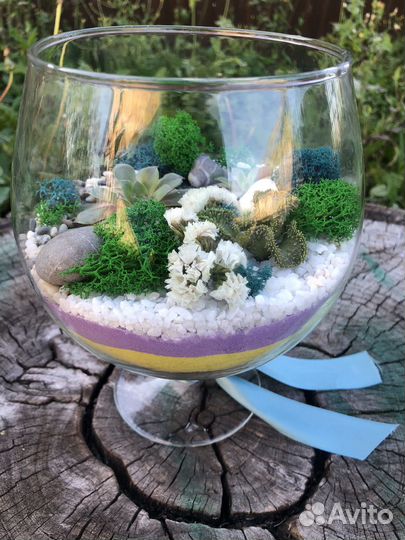 Флорариум живые цветы