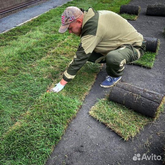 Натуральный рулонный газон