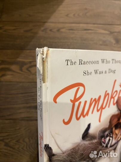 Книга про енота pumpkin