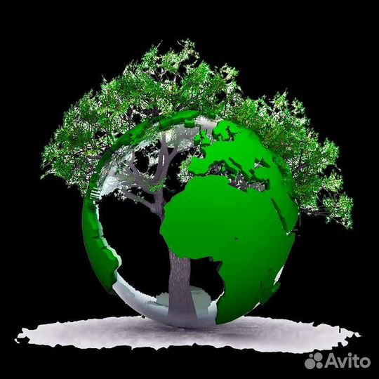 Консалтинг в сфере лесного комплекса