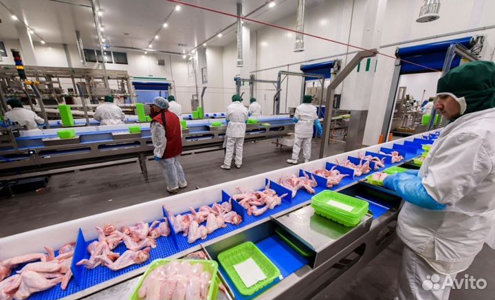 Упаковщик крылышек вахта в Москве от 15 смен