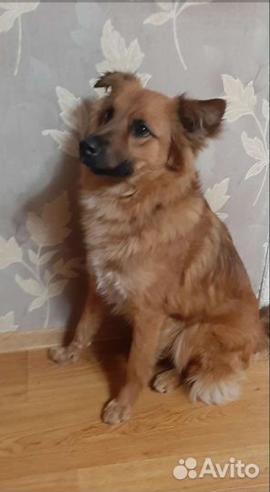 Мальчик.В очень добрые ручки