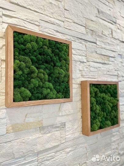 Панно со стабилизированным мхом 30 на 30 см
