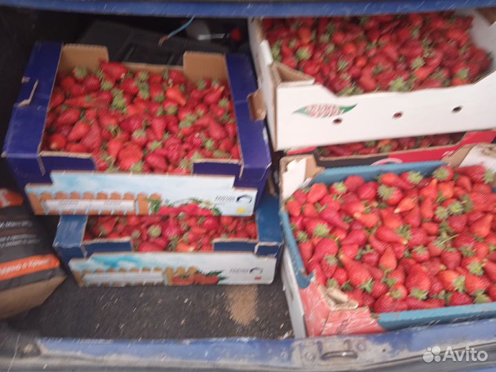 Клубника свежая