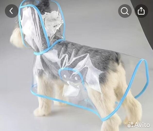 Плащ для собачки