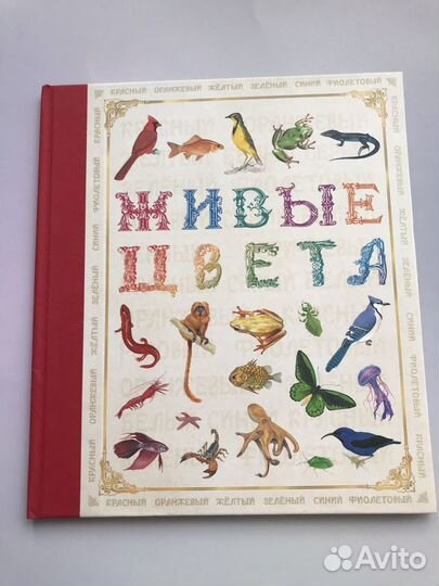 Живые цвета, Живые противоположности,детские книги