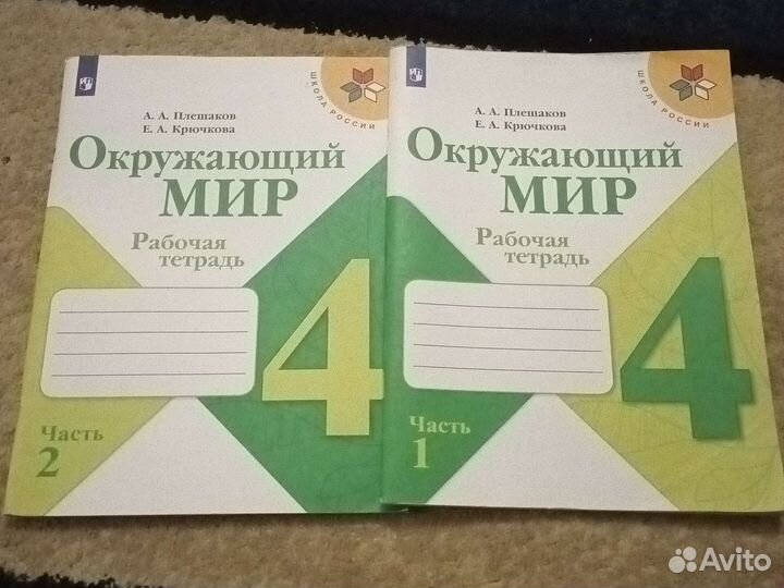 Окружающий мир 4 класс