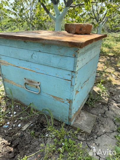 Улей для пчел бу