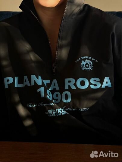 Planta rosa анорак