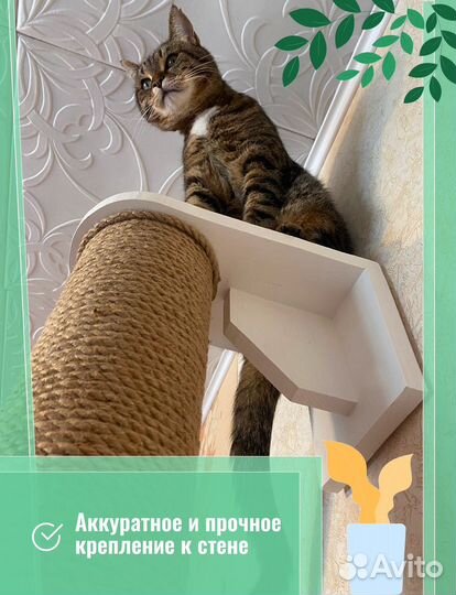 Когтеточка для кошек