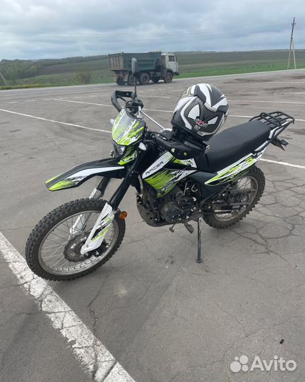 Рейсер пантера