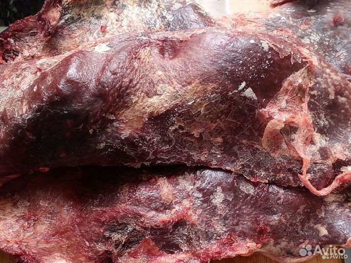 Мясо для домашних животных