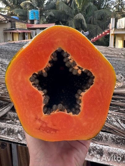 Папайя и другие экзотические фрукты