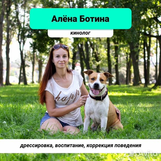 Кинолог в Кировском и Красносельском районе