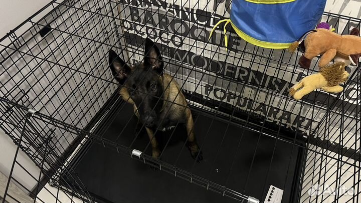 Клетка для собаки