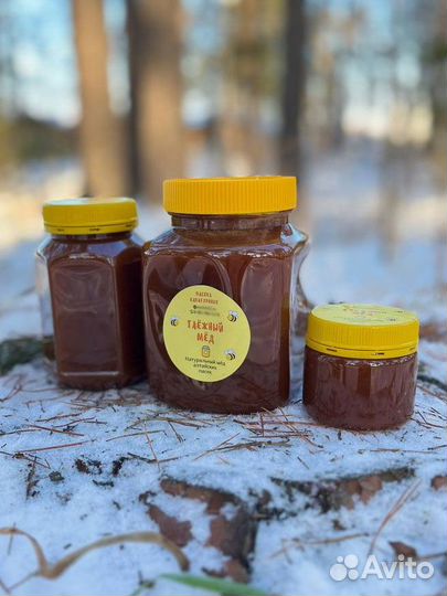 Таёжный мед (сбор 2023)