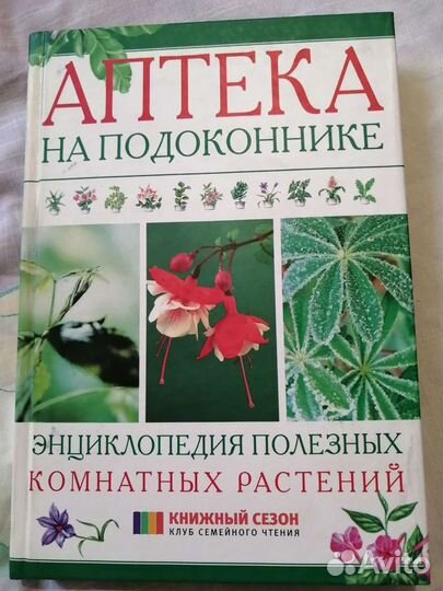 Энциклопедия полезных комнатных растений