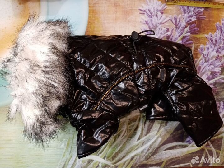 Зимний комбинезон для маленькой собаки