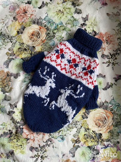 Одежда для собак