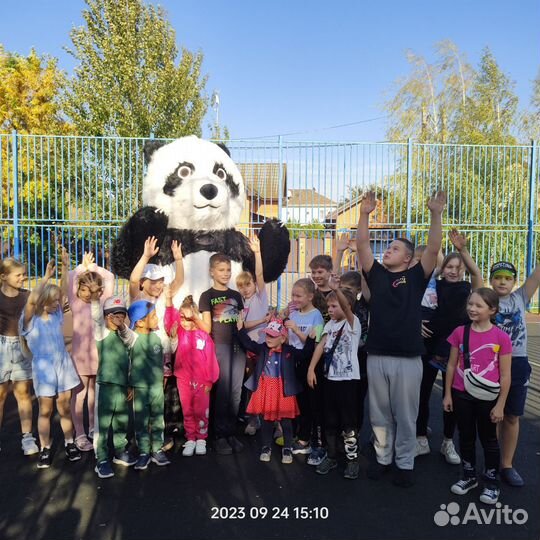 Панда поо Услуги аниматора