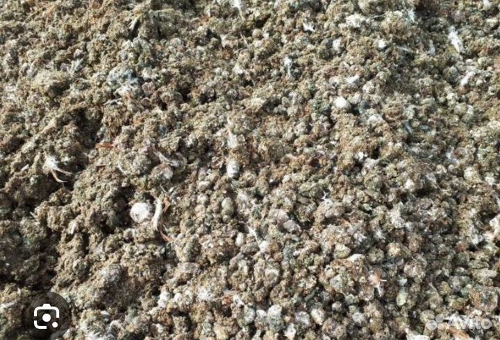 Куриный помет