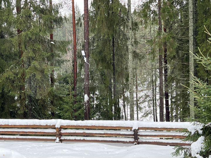 Дом 65 м² на участке 50 сот.