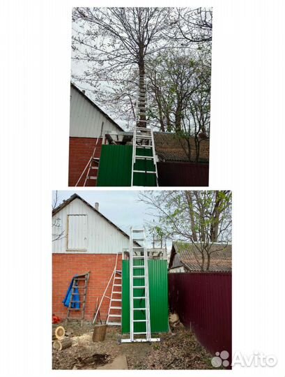 Спиливание деревьев