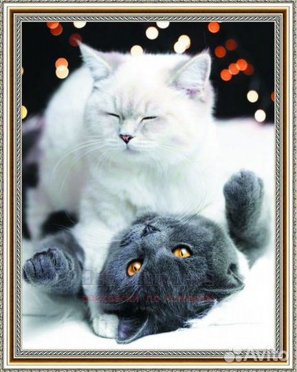 Алмазная мозаика 40x50 Белая кошечка и серый кот